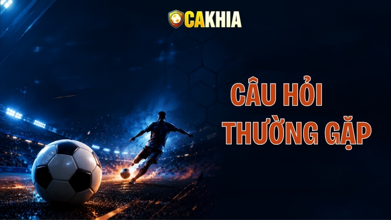 Câu hỏi thường gặp